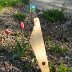 Kantele in the garden