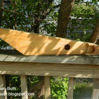 Kantele in the garden