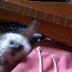 dulcimer helper