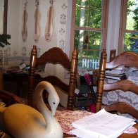 Dulcimer in my dining room