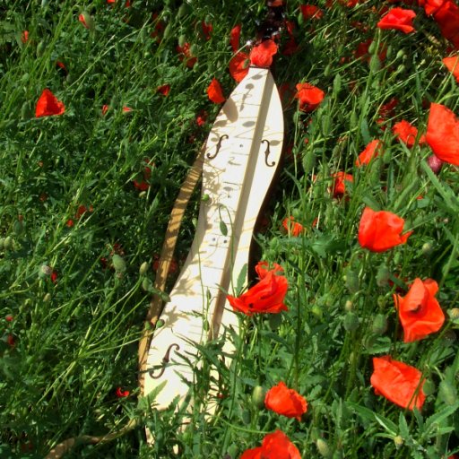 Poppy Dulcimer