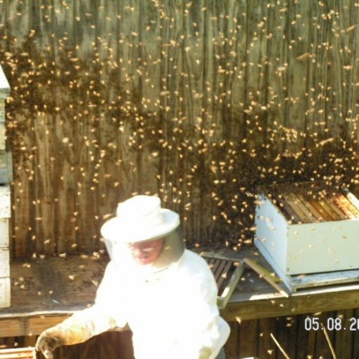 Mother's Day swarm a few years back