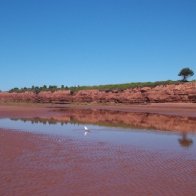 beach on Prince Edward Island