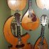 Harp Mandolin