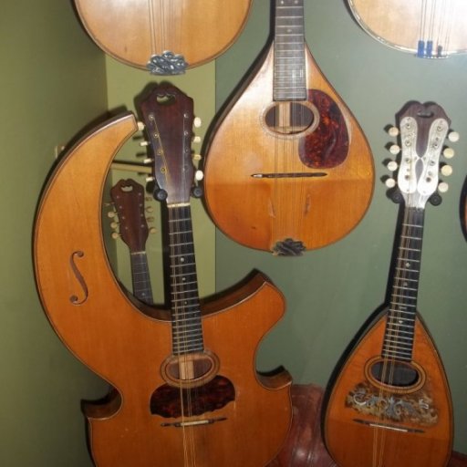 Harp Mandolin