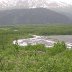 Alaska Trip 058