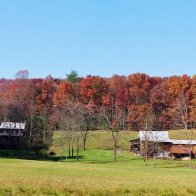 The colors of autumn