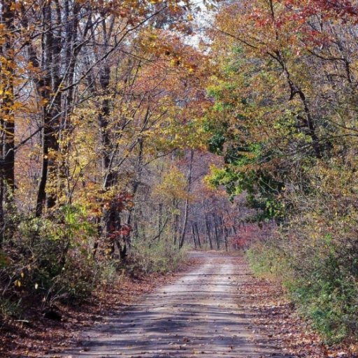 The colors of autumn