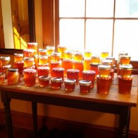 honey harvest 2012