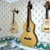 Ukes and Weissenborn