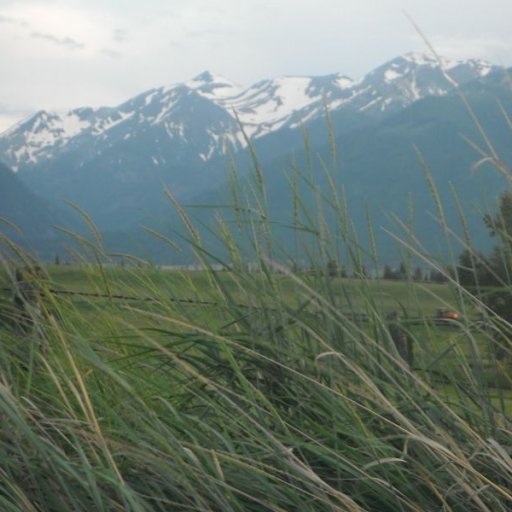 Wallowa Mountains near Hurricane Creek, Joseph, OR