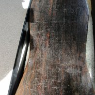 Back of CN Prichard Dulcimer, middle section