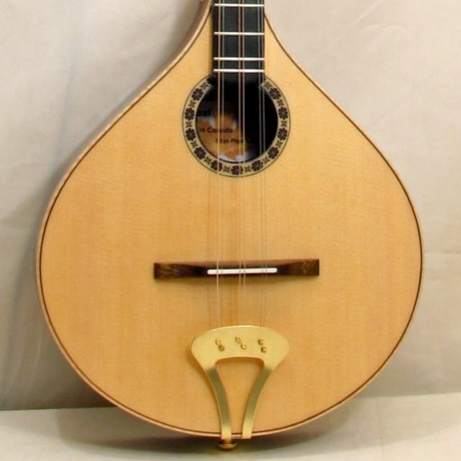 Walk-a-round dulcimer body