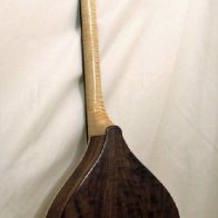 Walk-a-round dulcimer back shot