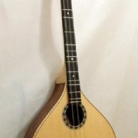 Walk-a-round dulcimer side shot