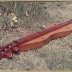 dulcimer - wooden peg model