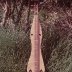 dulcimer - wooden peg model 3