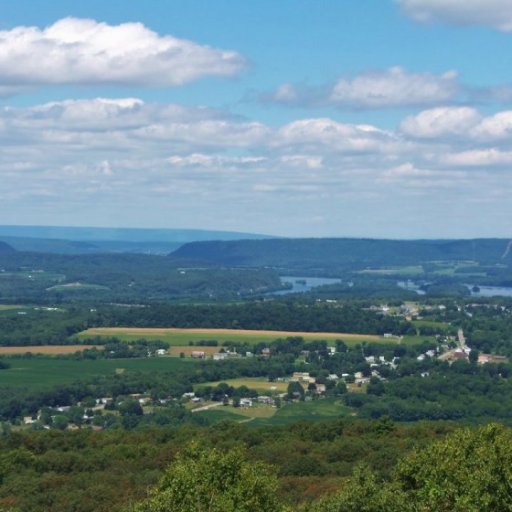 Mountain top view [Pa.]