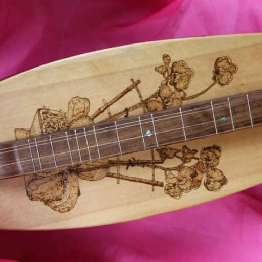 Cyndi Lauper's dulcimer