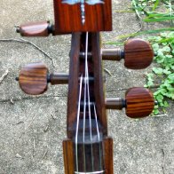 Dragonfly dulcimer