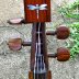 Dragonfly dulcimer