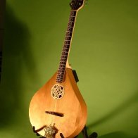 Octave Mandolin 1