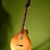 Octave Mandolin 1