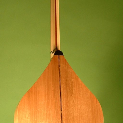 Octave mandolin 2