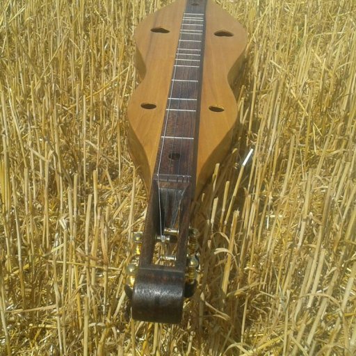 Poplar dulcimer on whole wheat... stubble.