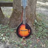 Gretsch G9320 "New Yorker" Mandolin (2013)