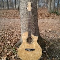 Ibanez EW20ASE Acoustic/Electric Guitar