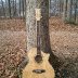 Ibanez EW20ASE Acoustic/Electric Guitar