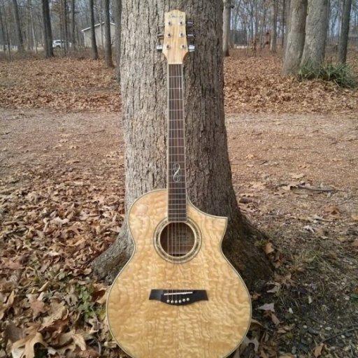 Ibanez EW20ASE Acoustic/Electric Guitar