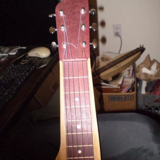 LapSteel