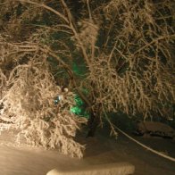 First night, out the back window...
