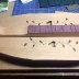 images one dulcimer build