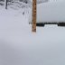 14" on the picnic table...