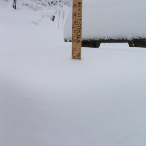 14" on the picnic table...
