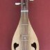 Richard's dulcimer.