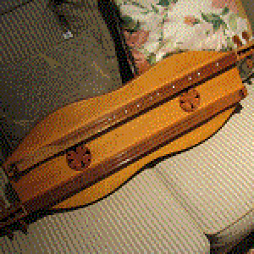 Courting Dulcimer