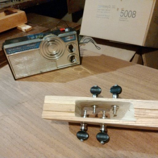 Grover Champion Banjo Friction Tuners