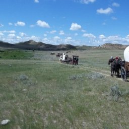 NE MT Wagon train.jpg