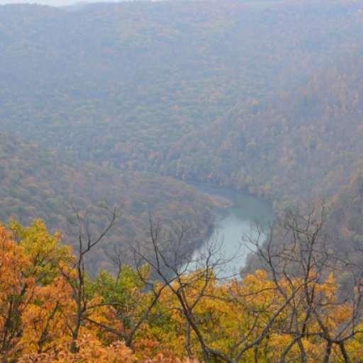 View from the overlook at Cooper's Rock