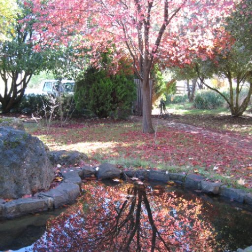 The Pond at Tasma House