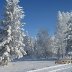 Hoar frost Jan 24 2016