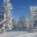 Hoar frost Jan 24 2016