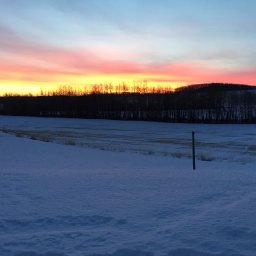 Sunrise on Hardy's Hill Feb 7 2016.jpg