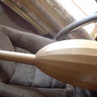 Back view of completed lute