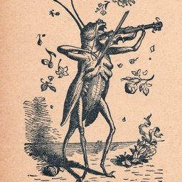 grasshopperFiddle.jpg