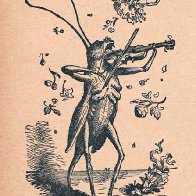 grasshopperFiddle.jpg